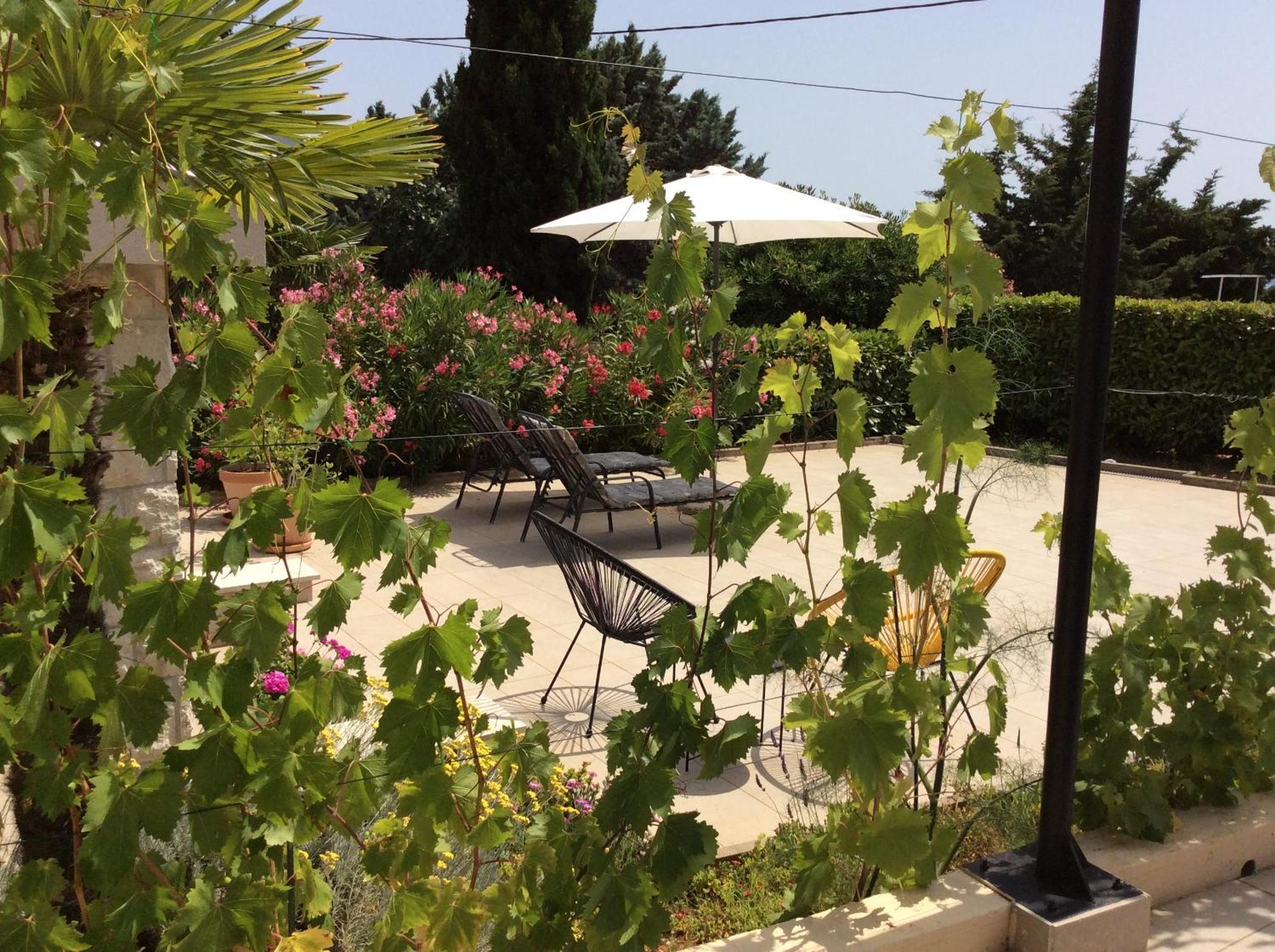 Apartment Tin Pinezići Dış mekan fotoğraf